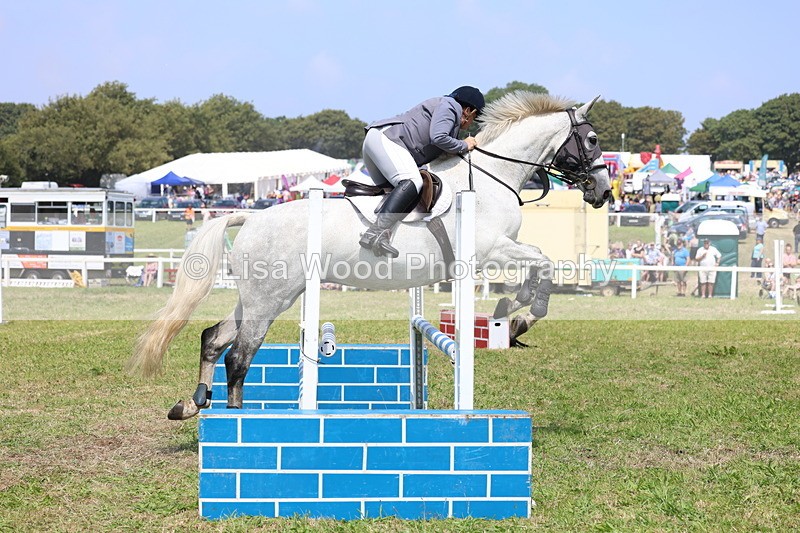 3E7A2910 - Class 7: Senior British Novice/90cm open