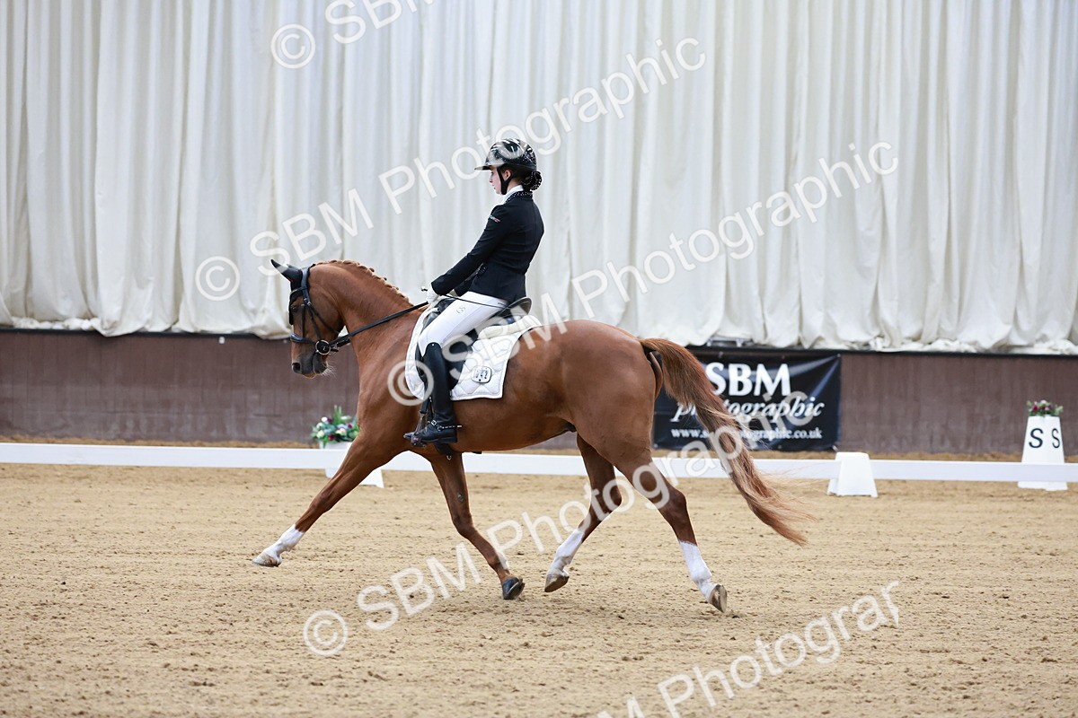 SBM_016771 - Class15 - FEI Pony