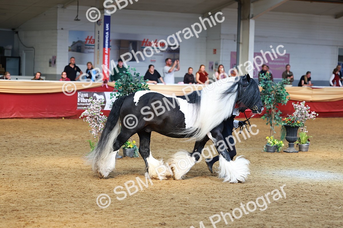 SBM_18522 - Class 903 - Sup Final - IH Pre Vet
