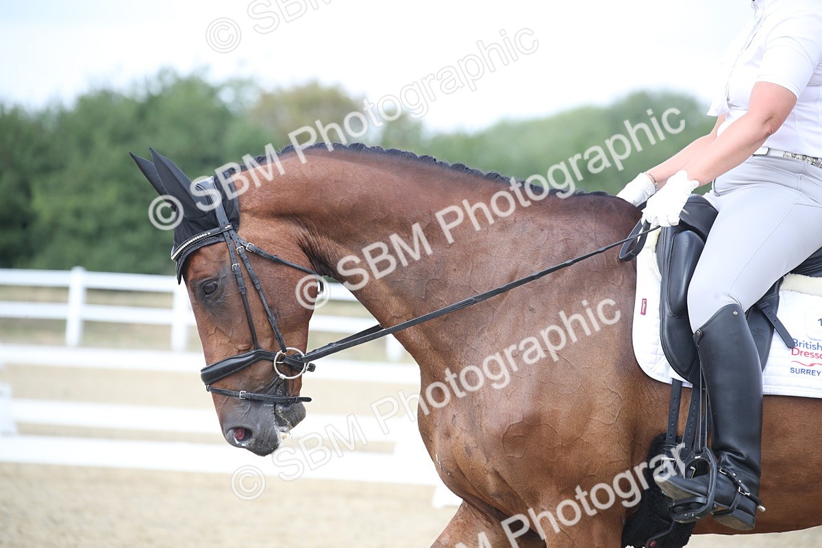 SBM_009054 - Novice 5 - 13.29-14.18