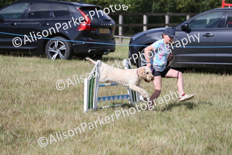 20260906-3423 - Class 34 - Dog Agility