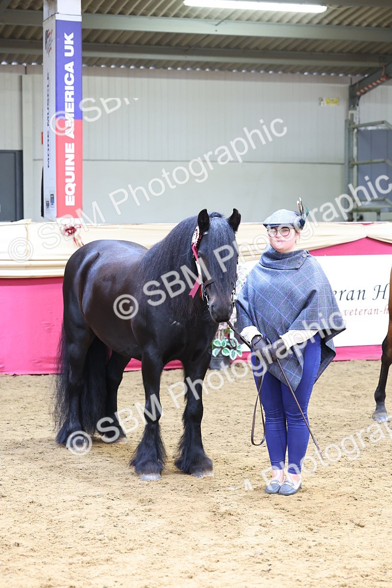 SBM_22954 - Class 903 - Supreme Final - IH Pre Vet