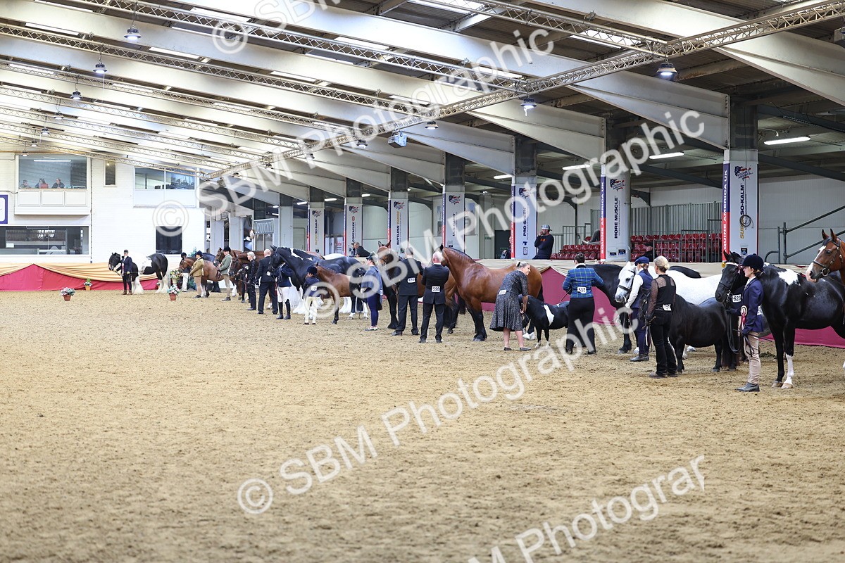 SBM_22993 - Class 903 - Supreme Final - IH Pre Vet