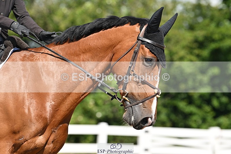 240621A-104027-01416 - Cls 4 BD Novice 22