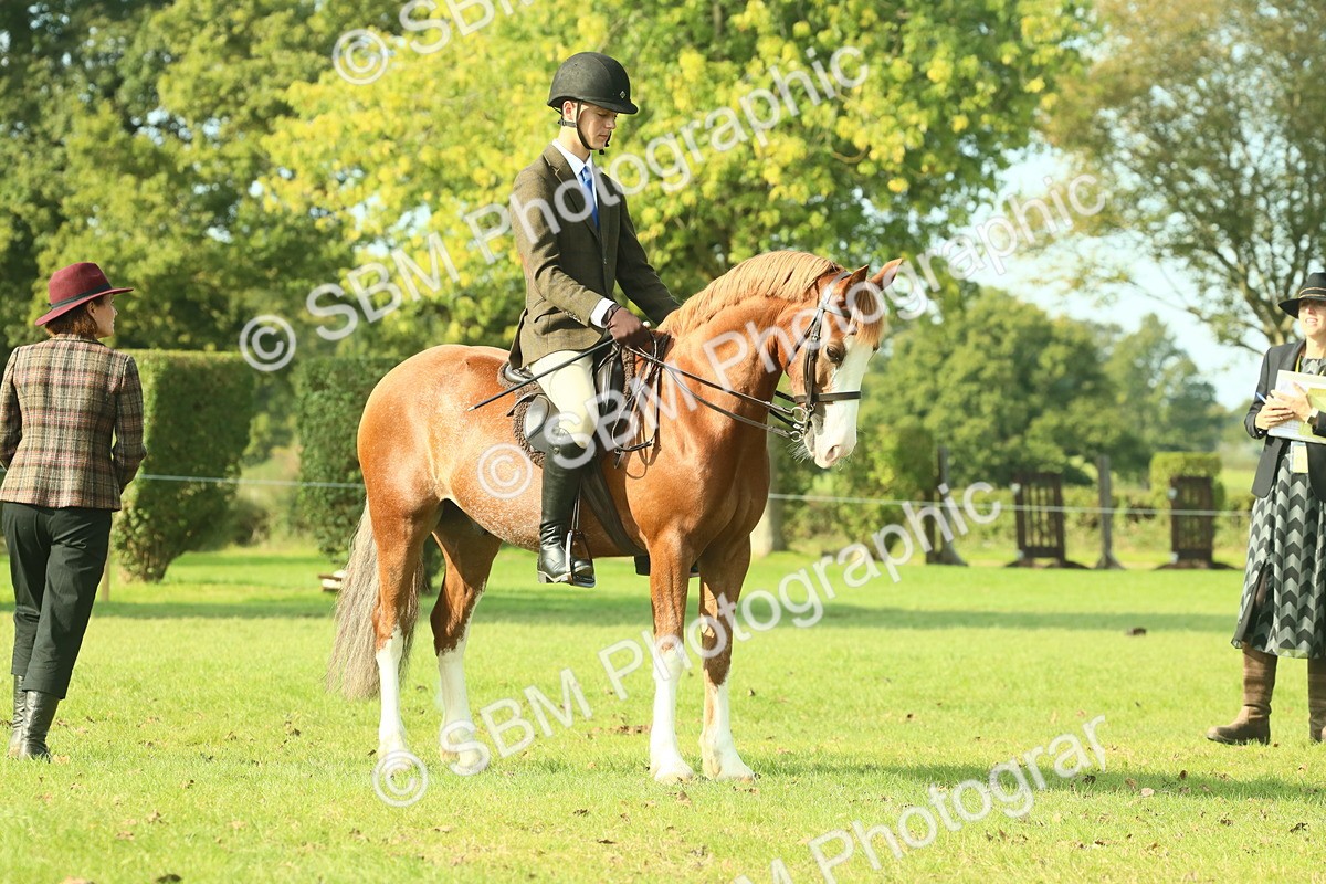 SBM_59924 - S38 - Starters Ridden Showing
