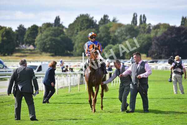 yr18082021r4-94 - Race 4 3.35pm Juddmonte International Stakes (British Champion Series race)