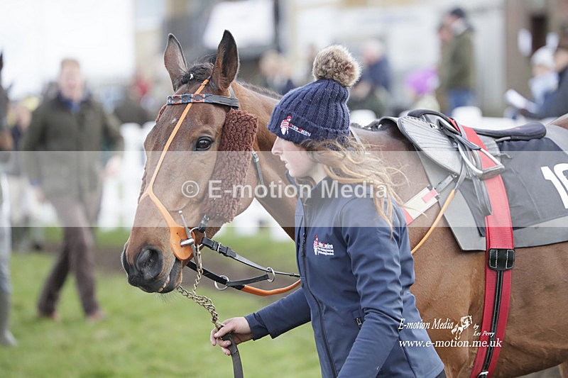 PtP 260323 0552 - New Forest Hounds Point-to-Point Larkhill 26/03/23