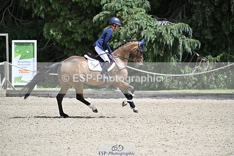 250525A-132049-17686 - Presentations Section B CCI 3 Star Long