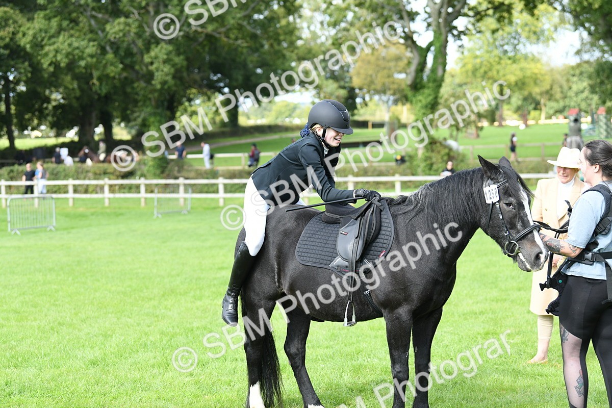 SBM_46845 - S12 - Family Horse & Pony