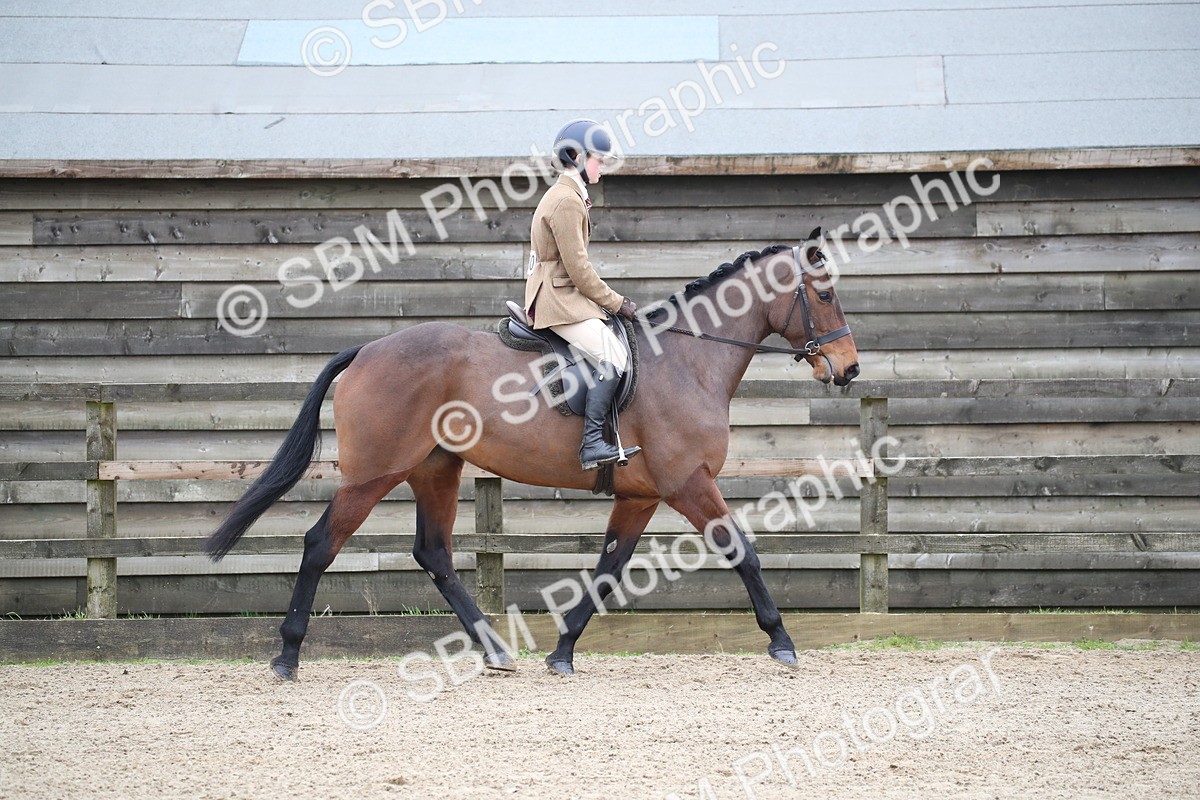 SBM_004730 - Class 5-9 - NPS In Hand-Show Hunter-Intermediate Ridden Inc Ridden Championship