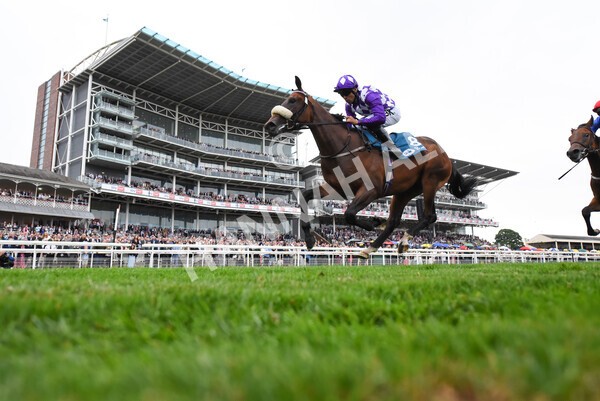 yr22072022r4-72 - Race 4 6.50pm The IRE Incentive It Pays To Buy Irish EBF Restricted Novice Stakes