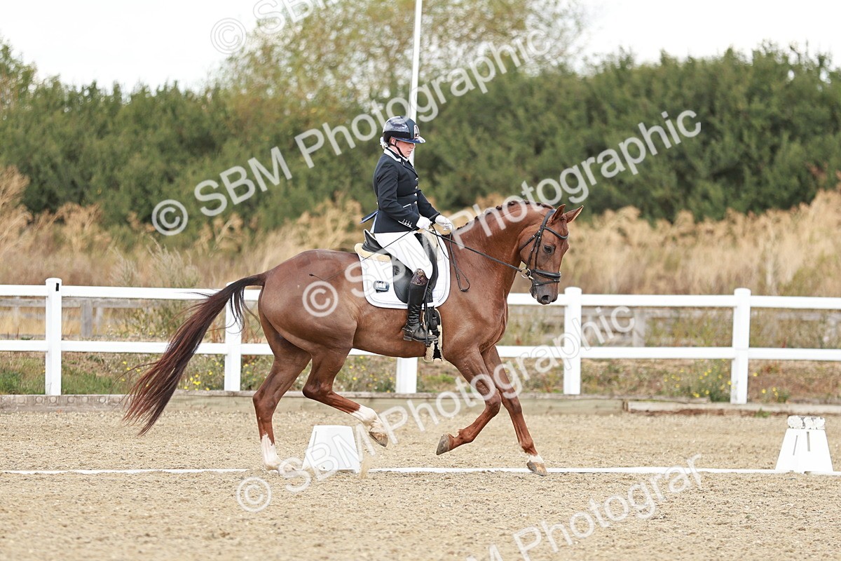 SBM_009447
