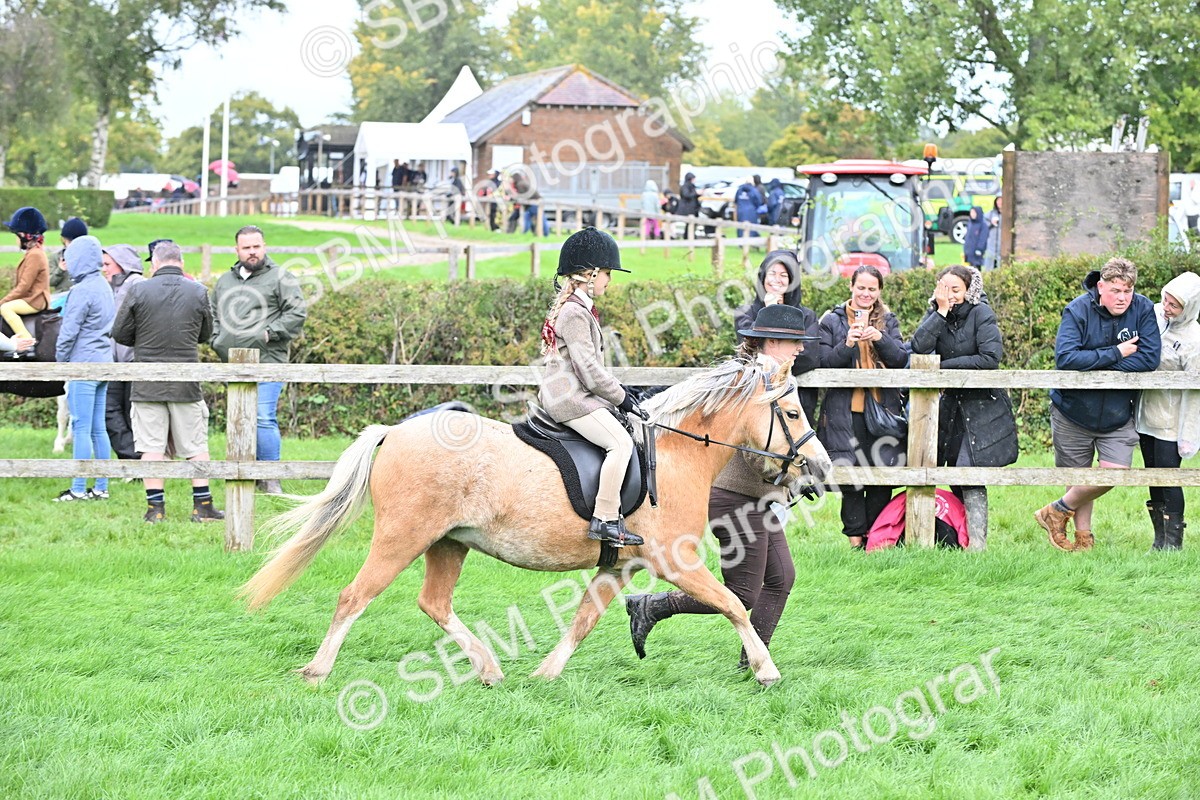 SBM_40118 - S20 - Lead Rein Mountain & Moorland Pony