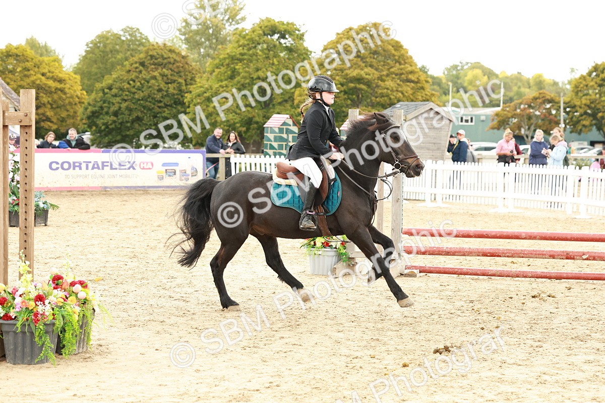 SBM_63565 - J12 - Junior Pony 55cm Championship