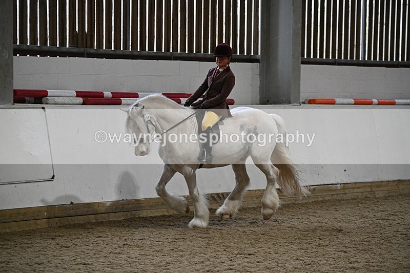 WJ7_4187 - Class 17 Ridden Cob