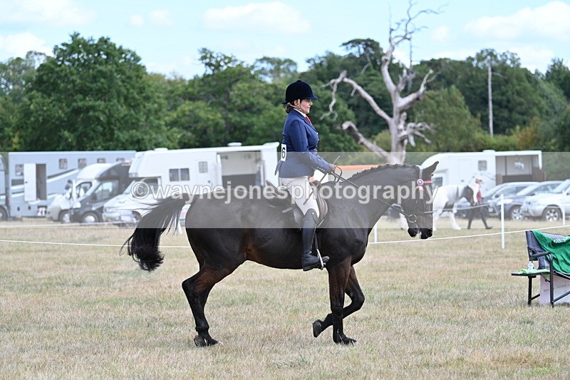 WJ7_5955 - Class 13 Ridden Veterans