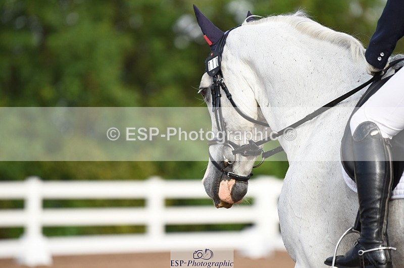 230912A-095000-00161 - Cls 4 Novice 22