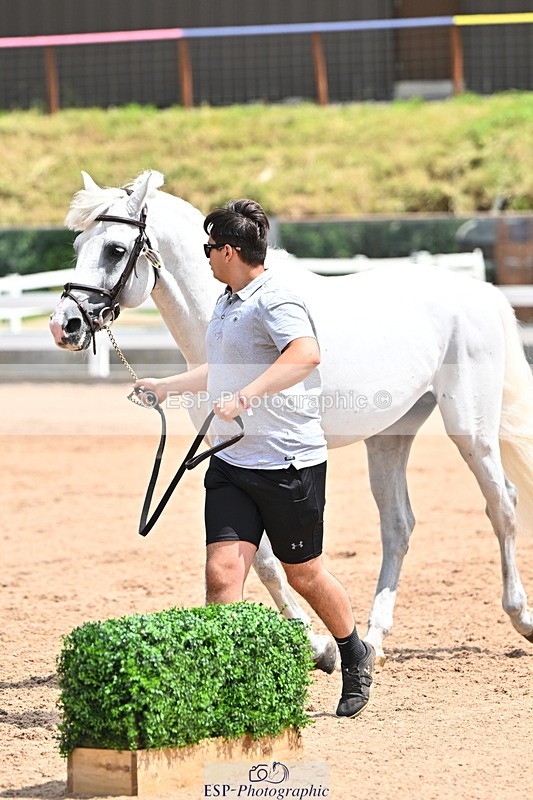 240718A-105307-01577 - Trot Up 1pm to 2pm