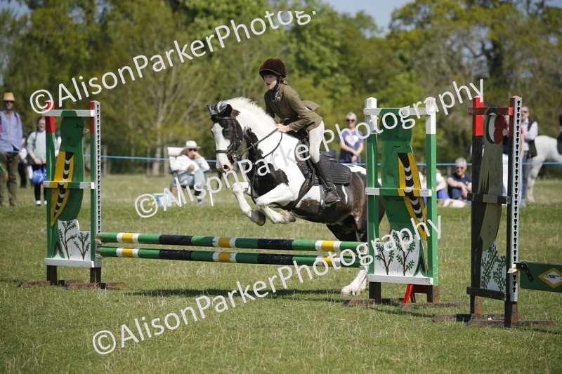 20250427-2196 - Class 13 - Novice Jumping 60cm