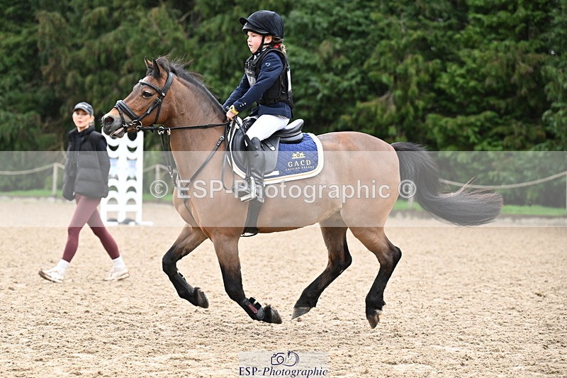 260222A-092501-00099 - 40cm Lead Rein and Assisted