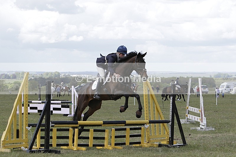 BVHT 140517 N-305 - Class 2 SJ Novice 14/05/17