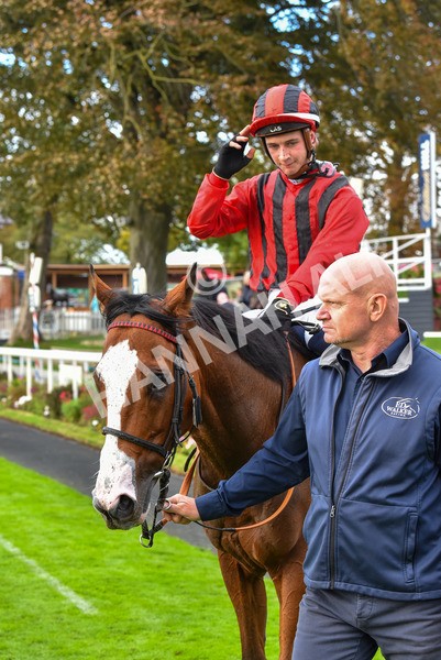 131023-Race 4-Hafeet Alain-9588 - Race 4 3.50pm William Hill Autumn Mile Handicap