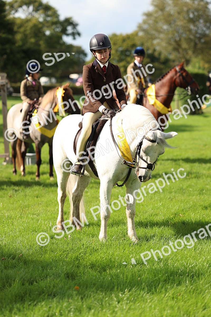 SBM_46366 - Working Hunter Pony Supreme Championship