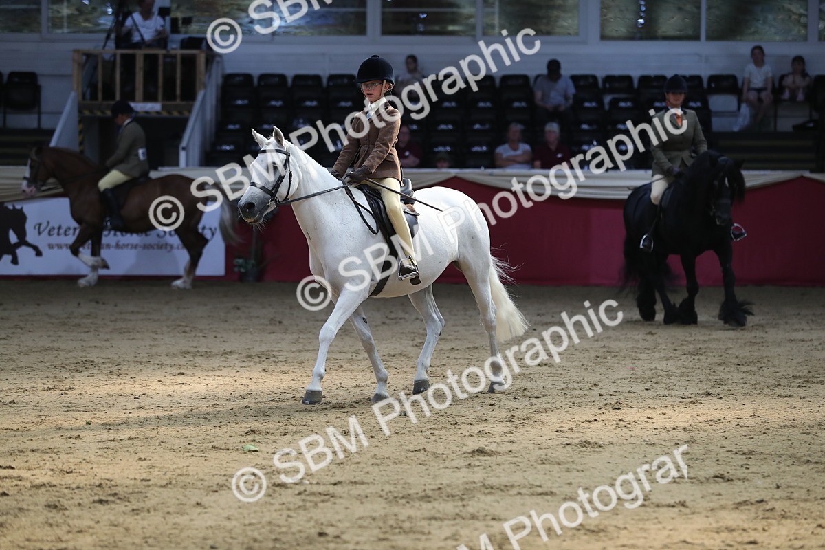 SBM_08344 - Class 11R Regional Ridden Veteran