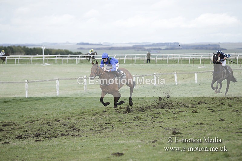 PtP 150320 0695 - New Forest Point-to-Point Larkhill 15/03/20
