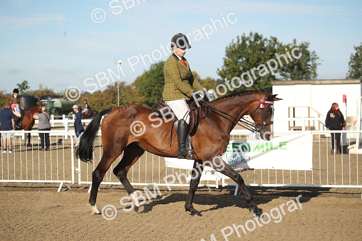 SBM_11265 - Class 501 -Riding Club Pony