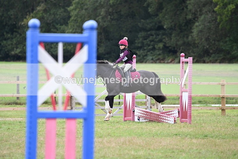 WJ6_0183 - 40cm Time 10:00 to 10:28