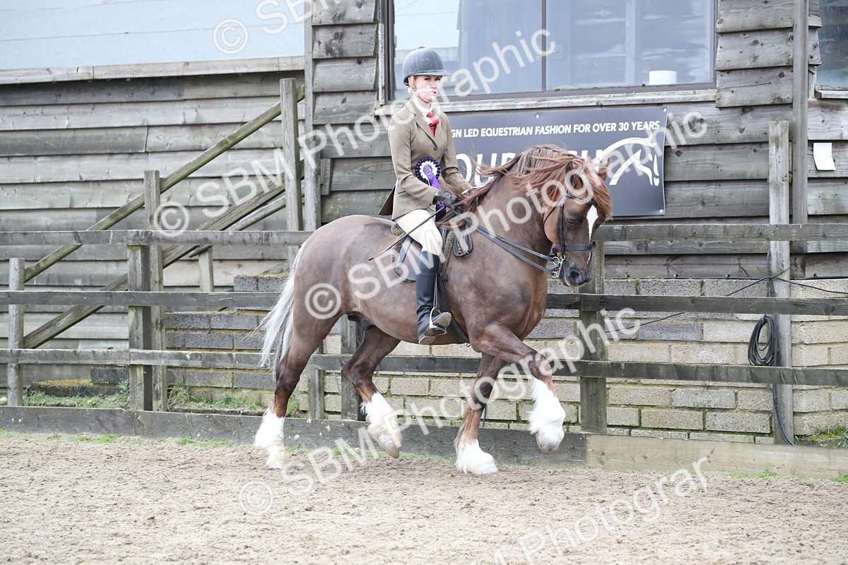SBM_006473 - Class 10-13 - RIHS Small Large Breeds