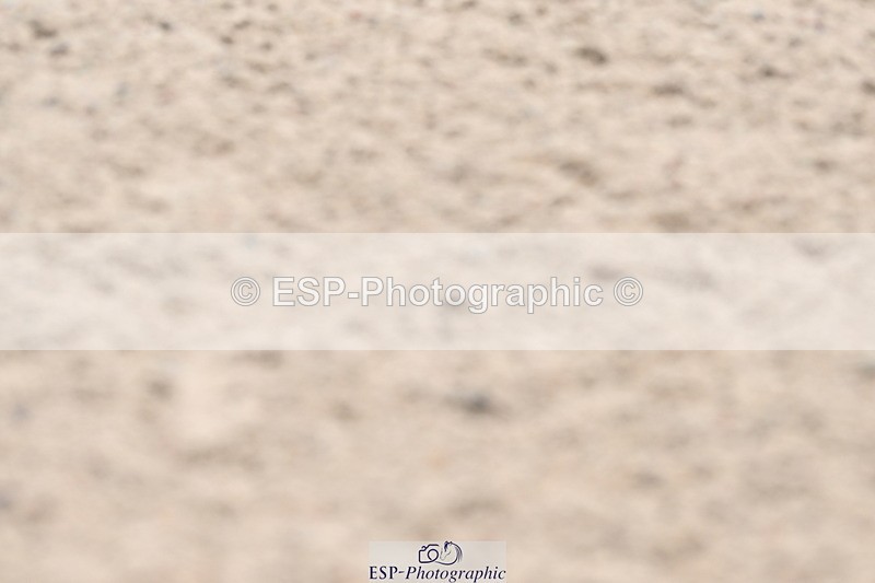 240523A-122925-01743 - Cls 3 Foxhunter