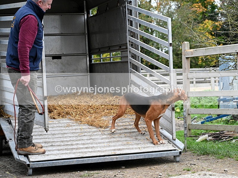 WJ7_5933 - Berks & Bucks - Children's Meet - The Old Farmhouse – Steventon.