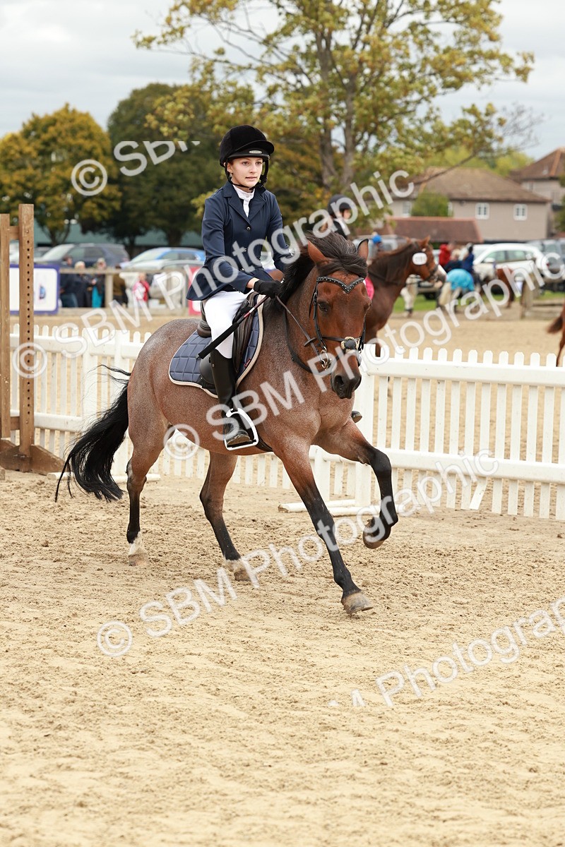 SBM_67038 - J13 - Junior Pony 60cm Championship