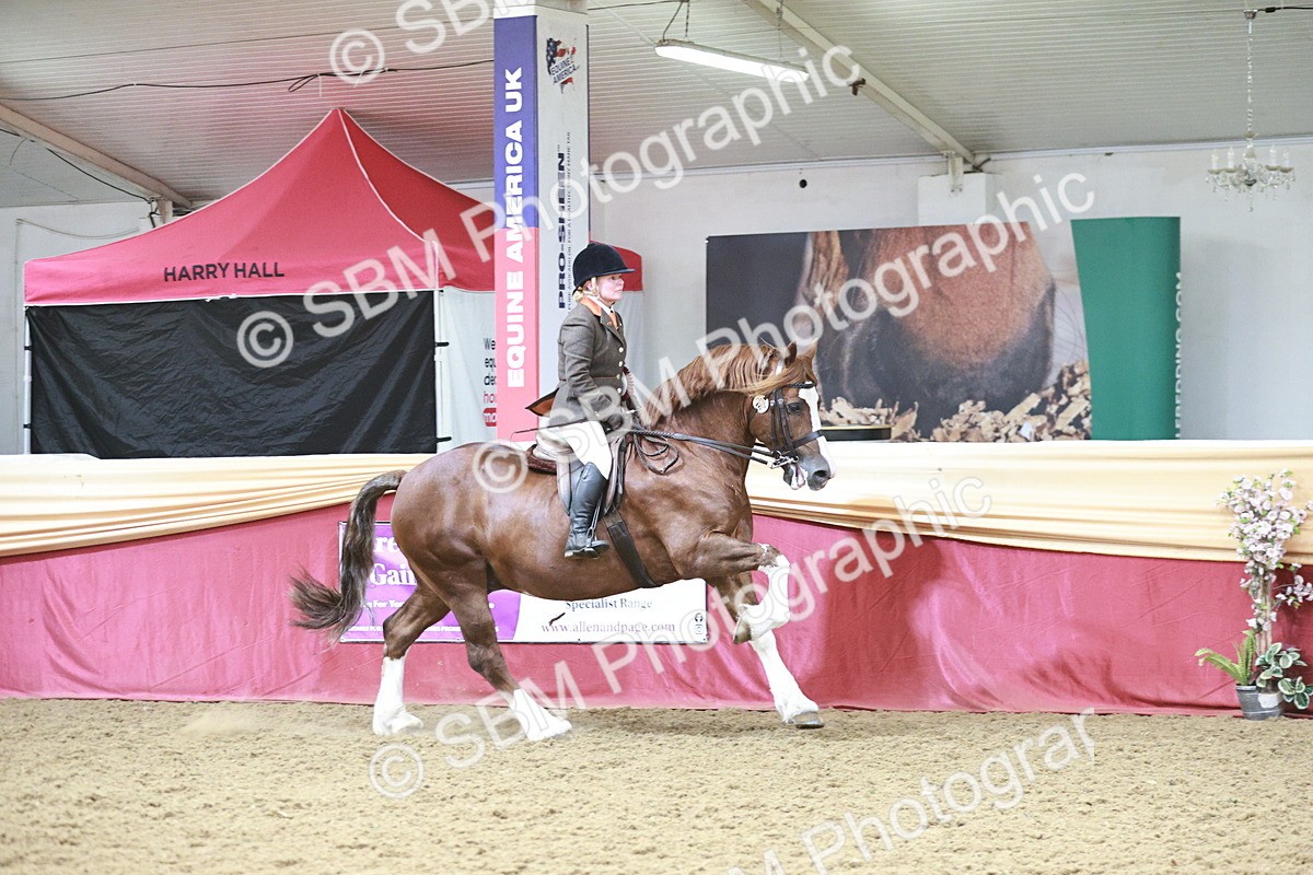 SBM_08654 - Regional Ridden Champ