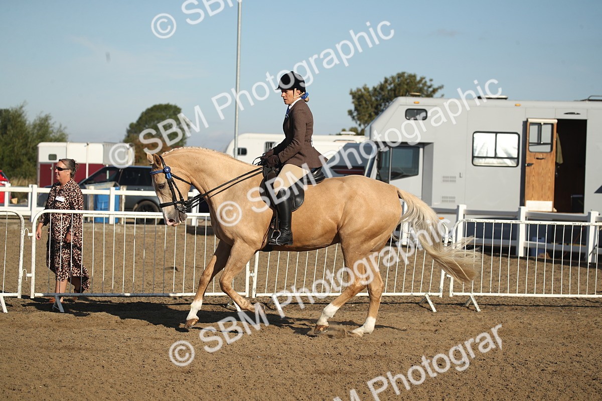 SBM_11327 - Class 501 -Riding Club Pony