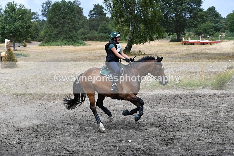 WJ5_1713 - XC Time 11:30 to 12:01