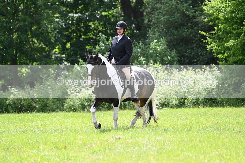 WJ7_2634 - Class 12A Coloured Class
