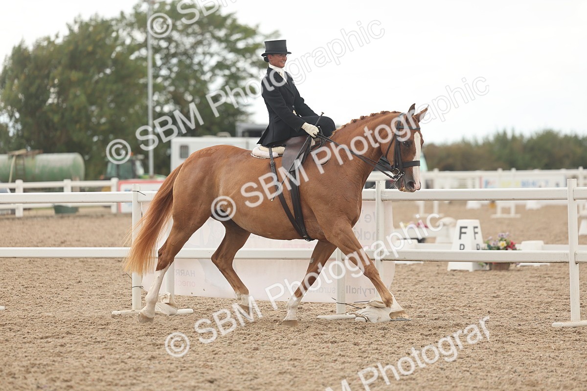 SBM_06317 - Class 23 - SSA - Classical