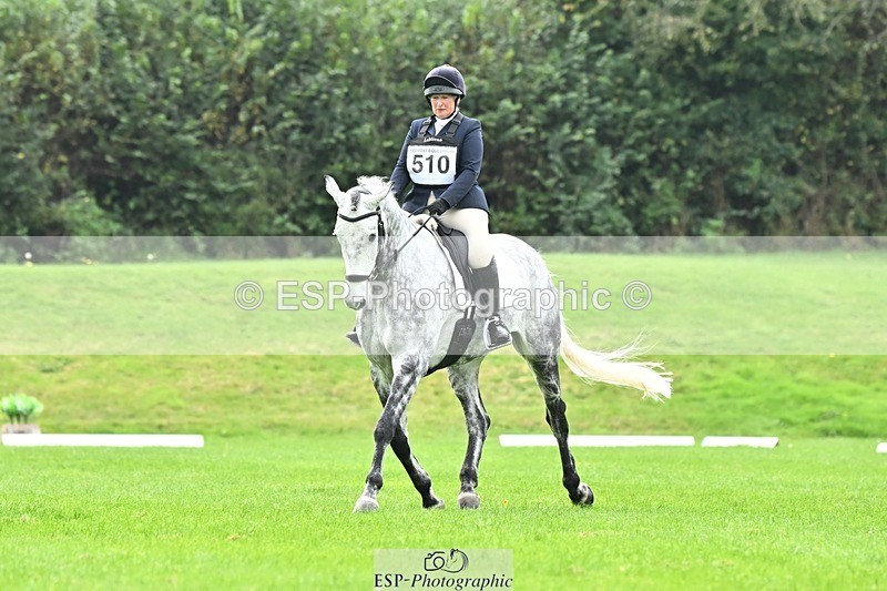 241024-115022-02501 - 510-Kathryn.Virjee-BROWNSTOWNS.SEAWATCH