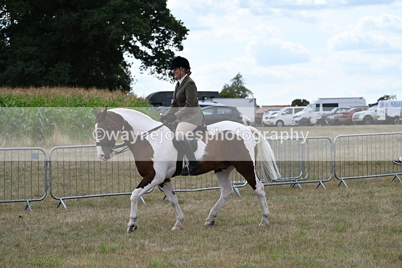 WJ7_4997 - Class 12 Ridden Cob