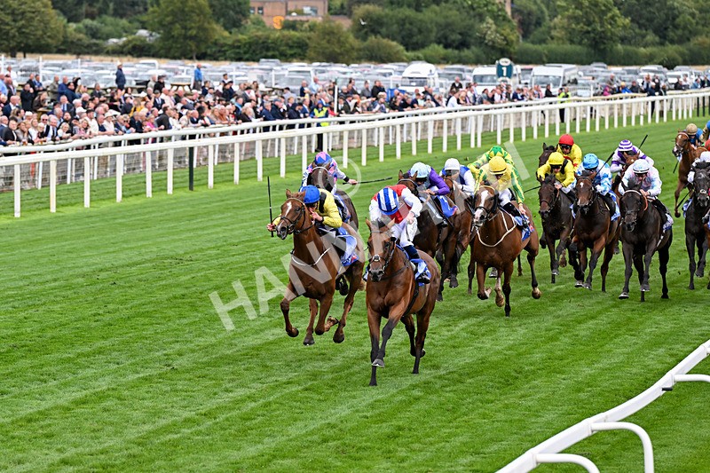 210826-Race 1-Blue Courvoisier-0067 - Race 1 13.50pm Sky Bet Mile Handicap