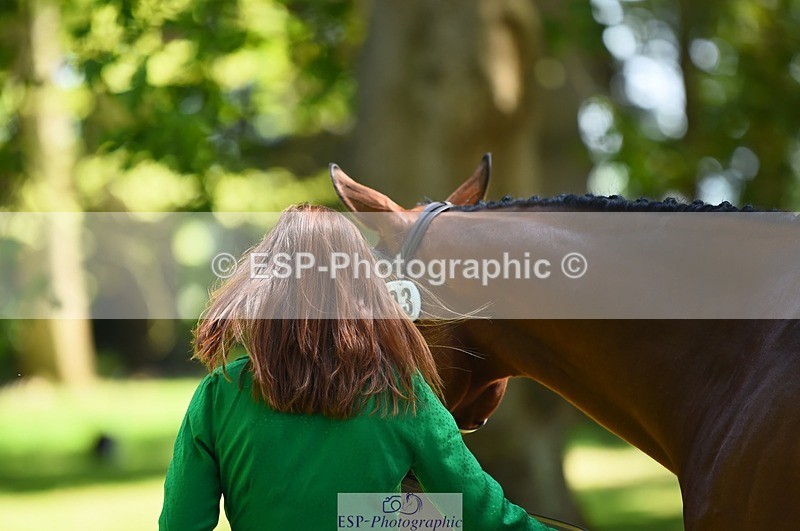 230524-150130-00021 - 303-JESMOND_RENARD-Susie_Berry-WEDTrotUp+DR