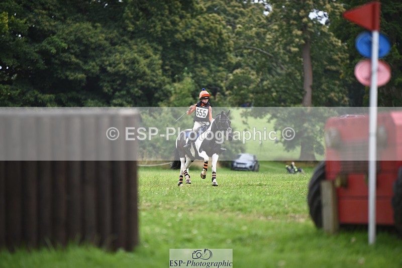 240804-144026-14812 - 555-Jack_Wish-WESTERLAKE_BUTTONWEED