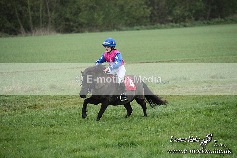 SHETPR 210425 107 - Shetland Ponies Paxford Races 21/04/25