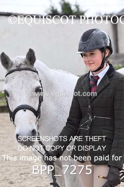 BPP_7275 - RING 1  (RIDDEN HORSES / IN HAND / VETERAN ETC)