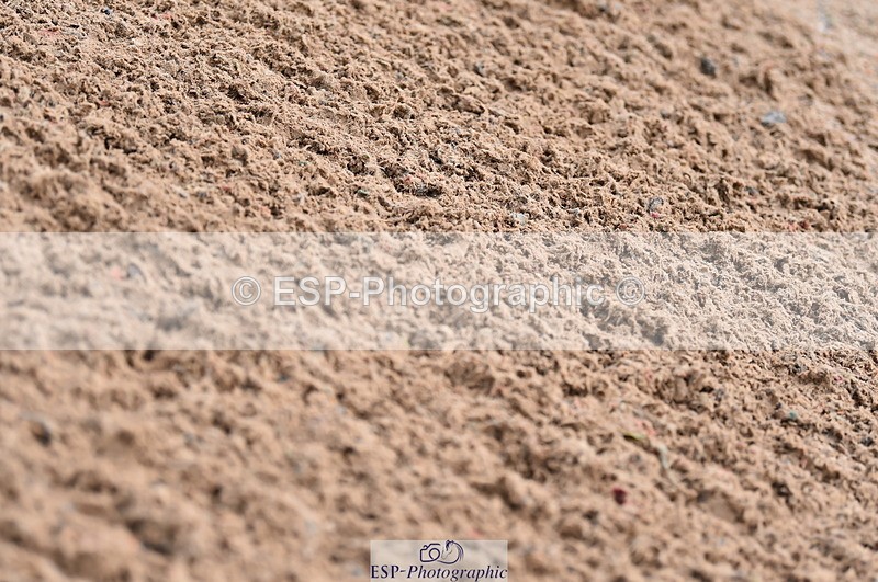 231029A-103244-02321 - 70cm Pony Intro