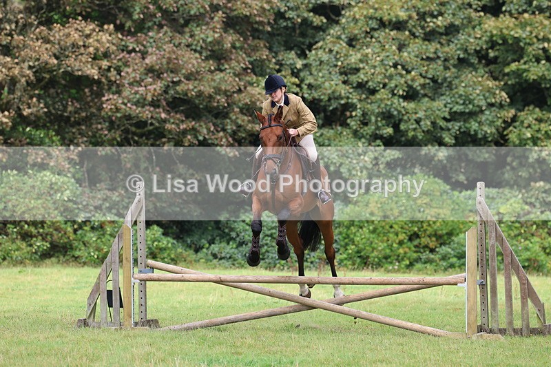 3E7A5819 - Class 26 and 27: 70cm Working Hunter