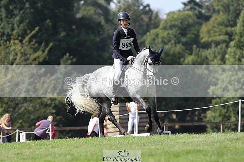 250823A-141003-31484 - Arena D